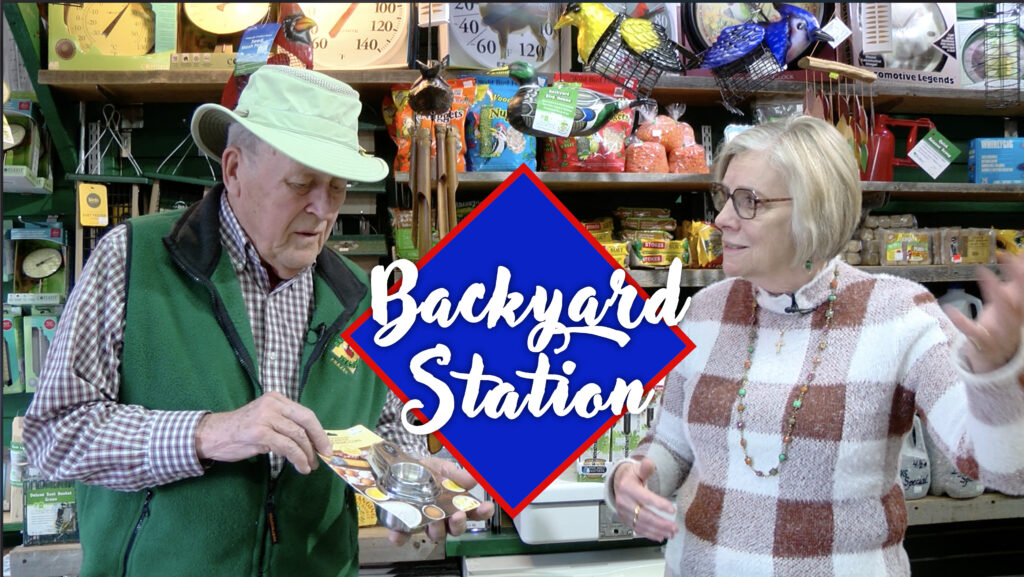 Backyard Station