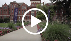 Mayville Vid